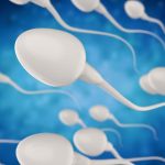 production-de-spermatozoides