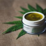 cbd-infos-uQEr4uWxvJc-unsplash